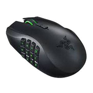 mouse